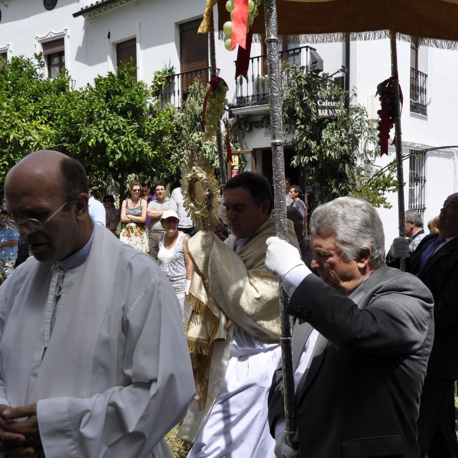 Fotograf&iacute;a donde vemos la estaci&oacute;n de penitencia del Sant&iacute;simo portado por el p&aacute;rroco, bajo los palios.