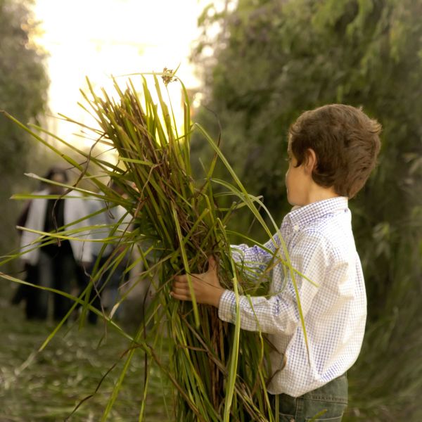 Niño en el día del Corpus Christi, con un puñado de juncia para esparcirlas al suelo.