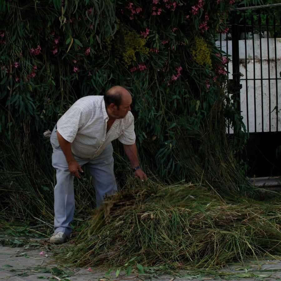 Imagen de un paisano de la villa de Zahara preparando la juncia.